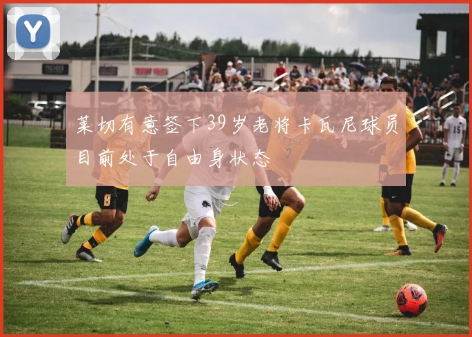 莱切有意签下39岁老将卡瓦尼球员目前处于自由身状态
