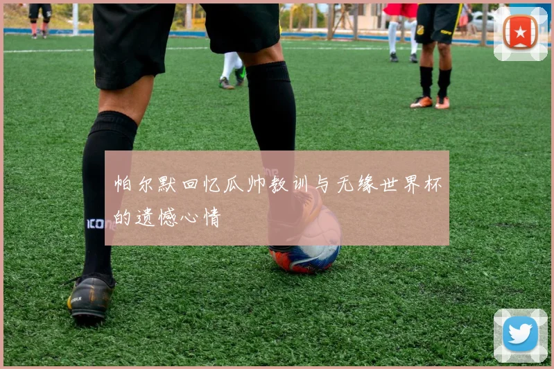 帕尔默回忆瓜帅教训与无缘世界杯的遗憾心情