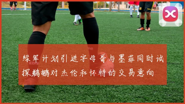 绿军计划引进字母哥与墨菲同时试探鹈鹕对杰伦和怀特的交易意向